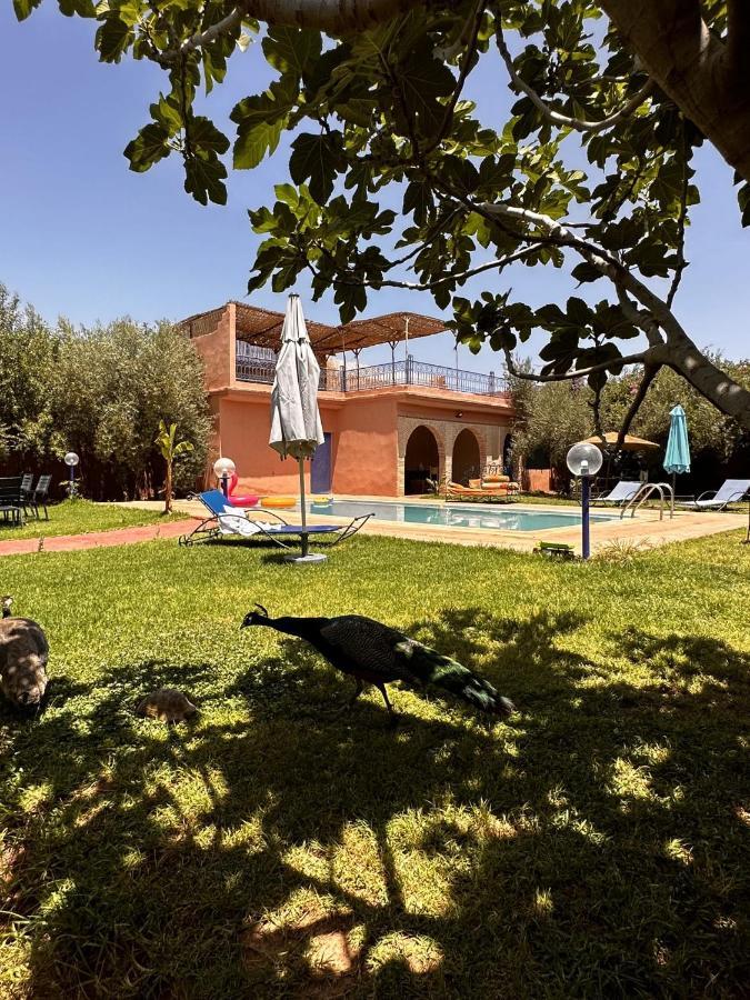 Villa Ms Holidays Mika Privatisee Marrakech Marrakesh Buitenkant foto