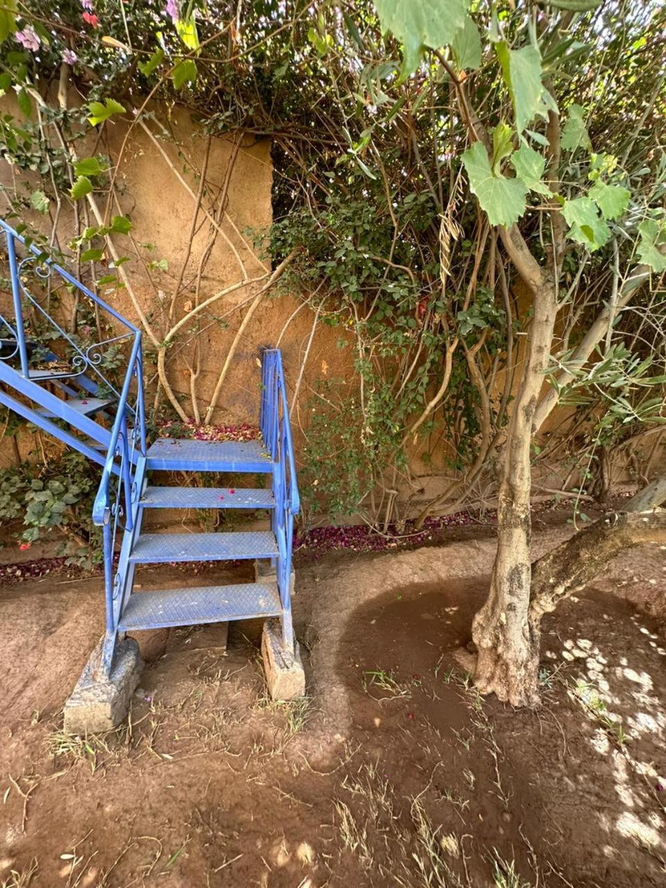 Villa Ms Holidays Mika Privatisee Marrakech Marrakesh Buitenkant foto