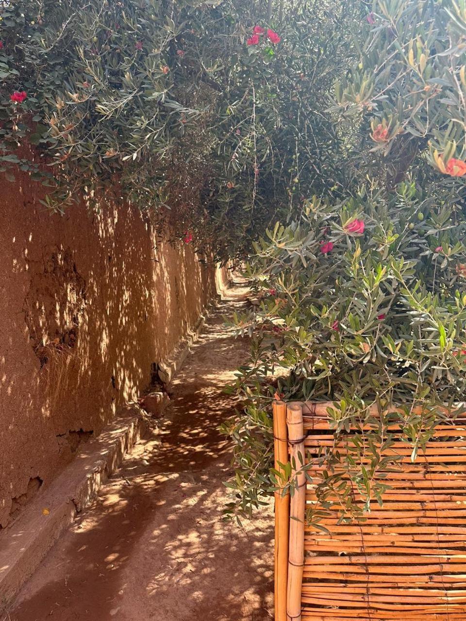 Villa Ms Holidays Mika Privatisee Marrakech Marrakesh Buitenkant foto