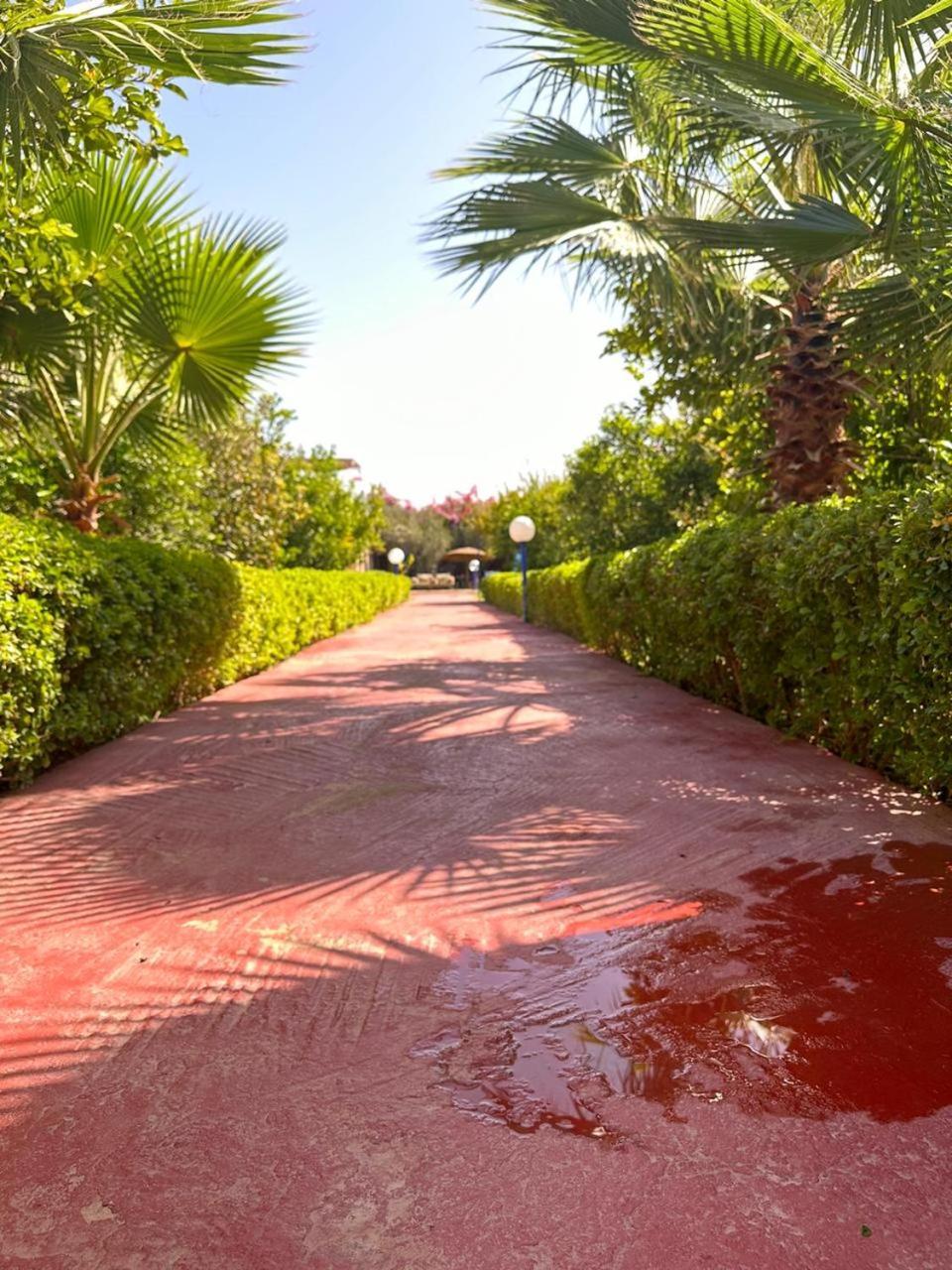 Villa Ms Holidays Mika Privatisee Marrakech Marrakesh Buitenkant foto