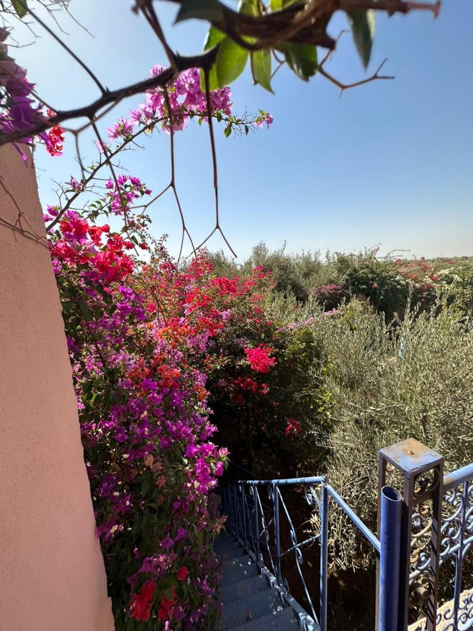 Villa Ms Holidays Mika Privatisee Marrakech Marrakesh Buitenkant foto